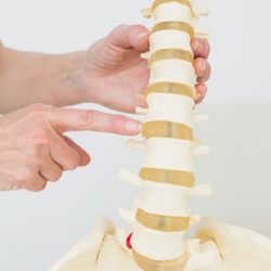 pourquoi-la-chiropratique-4 pourquoi-la-chiropratique-4