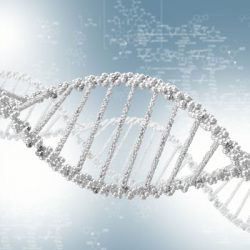 pourquoi-la-chiropratique-5 pourquoi-la-chiropratique-5